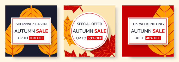 Autumn sale banner set. Fall background. Discount poster with leaves. Promotion offer, flyer, price off card design template. Vector illustration.