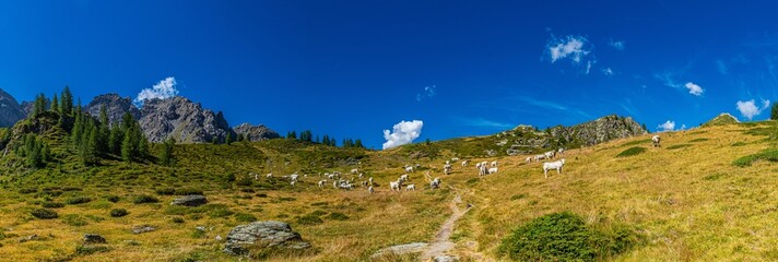 Il lago nero di Rocca la Meja, in alta Valle Maira, nel sud del Piemonte