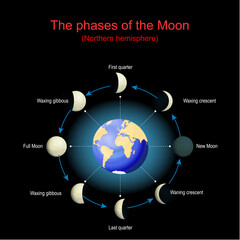 Lunar cycle. Moon phases