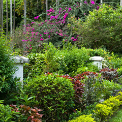 Botanical garden with rare exotic trees.