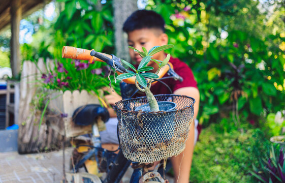 Asian boys have found old bicycles by turning them into flower pots for their homes.This creative idea not only makes use of discarded items but also creates a beautiful and sustainable garden design