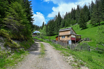 Rumänien - Bauernhöfe liegen idyllischen in der grünen Natur des Apuseni Nationalparks in Rumänien
