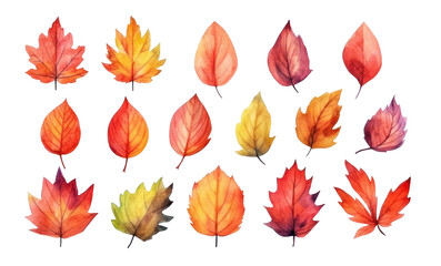 Vibrant isolated watercolor autumn leaves on white background, fall design element