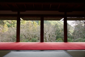 Fototapeta premium view from the temple