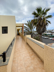 Balcony flor overlooking the cityscape with a green palm tree in the foreground.