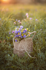 Still-life. Photo of wildflowers in a woven bag.