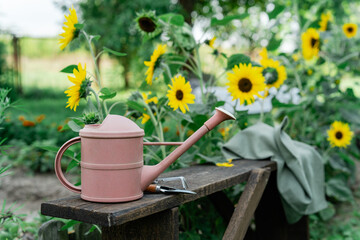 Watering can and tools on a bench against the background of sunflowers. Farm life background