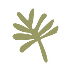 Algae plant abstract vector element