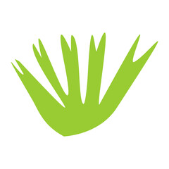 Algae plant abstract vector element