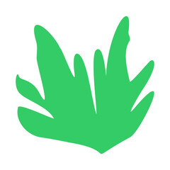 Algae plant abstract vector element