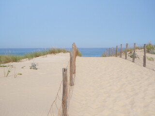 A small sand path goes through the sand dunes with the Atlantic Ocean in the background. June 2023, Cap Ferret, France.