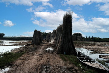 Jute Pressing  in Village 