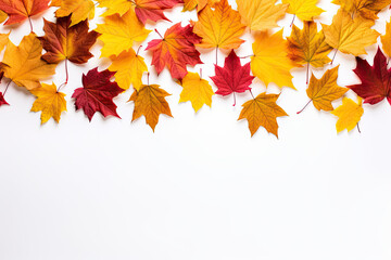 autumn leaves on a white background, copy space 