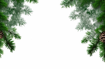 Christmas panner with pine branches on a white background, copy space 