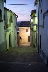 Fototapeta premium White Washed Buildings with Green Shutters on a Cobblestone Street