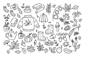 Big collection cozy autumn doodles. Knitwear, rubber boots, teapot with cup of hot tea, seasonal forest mushrooms and autumn leaves, berries. Vector illustration. Isolated outline hand drawing.
