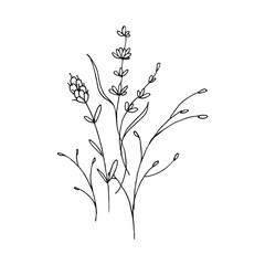 beautiful flower hand drawn element