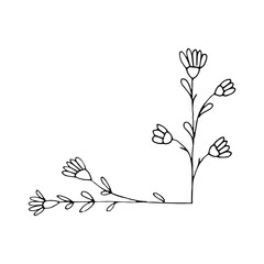 flower corner hand drawn element