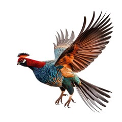 Obraz premium A vibrant bird soaring through the sky created with Generative AI technology