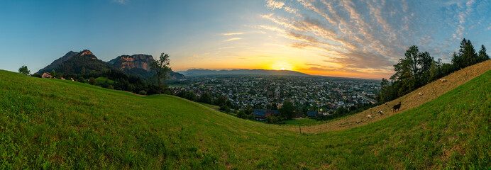 Panorama Sonnenuntergang über den Schweizer Bergen im Rheintal, einzelner Baum mit Blick auf...