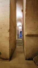ABBAYE DE MONTMAJOUR (Arles - Bouches du Rhône)