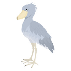 ハシビロコウのイラスト