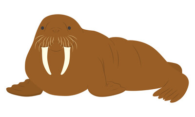 セイウチのイラスト