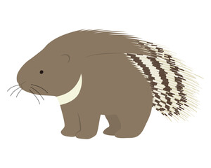 ヤマアラシのイラスト