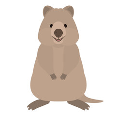 クアッカワラビーのイラスト
