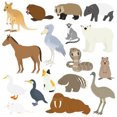 動物のイラストセット