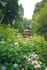 アジサイとお寺