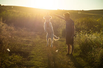 Naklejka premium summer lakeside with a dog
