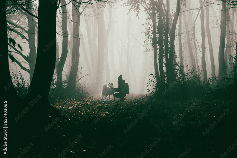 Wall mural happy dog and owner in foggy forest