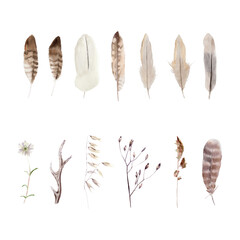 Hand drawn autumn botanical watercolor illustrations with herbs and feathers