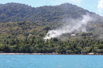 Fototapeta na wymiar forest burning on the island