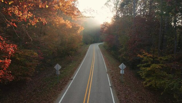 light rays shine through colorful fall forest in the Ozark Mountains of Arkansas with fall colored trees shoot via aerial drone  