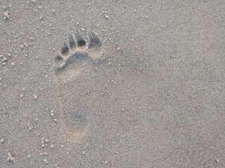 Footprint in the Sand