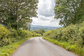 Road in the countryside