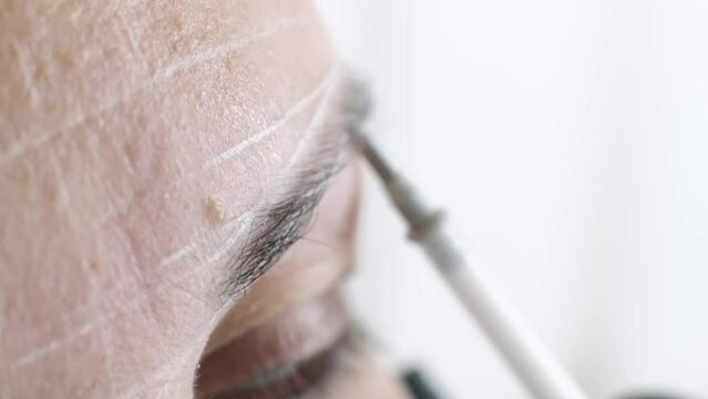 Detailed view of a professional conducting eyebrow mapping on a woman for permanent makeup