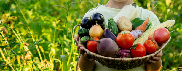 boy in the garden holding a bowl of freshly picked vegetables.