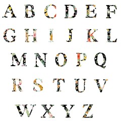 Alphabet Upper case Number isolated elements blossom floral isolated for logo, invitation, fashion fabric