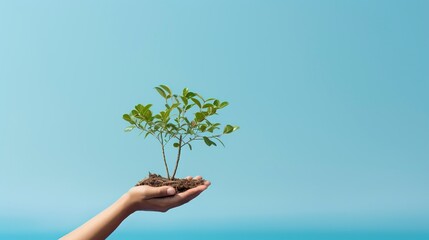 A hand delicately cradles a small tree against a soft light blue background. This evocative image symbolizes care, environmental awareness, and the nurturing of nature