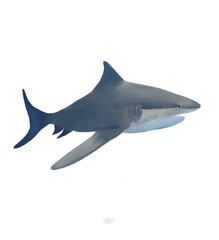 great shark