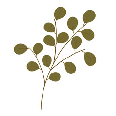 leaf, leaves, autumn, tree, nature