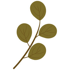 leaf, leaves, autumn, nature