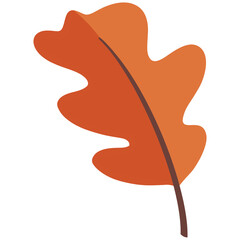 leaf, leaves, autumn, nature