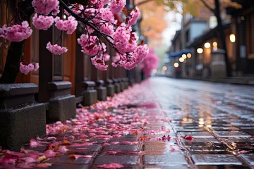 Fotobehang Pink cherry sakura blossoms in rainy evening street   © nnattalli