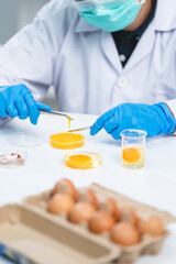 laboratory of chicken egg in agriculture manufacturing industry or food quality control research, expert inspection working to science analysis test in medicine biology safety, biotechnology concept