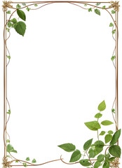 Vines Frame Border
