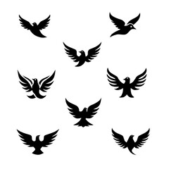 Bird vector Logo collection in black color on white background